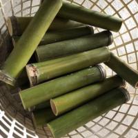 桂竹竹筒飯.竹飯筒.竹筒米糕..團康活動.烤肉.DIY(只售竹筒)竹筒批發